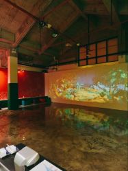 -恐龙探索乐园(磁器口店)