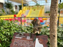 -南宫五洲植物乐园