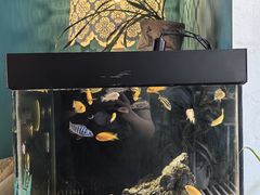 -默迹咖啡馆