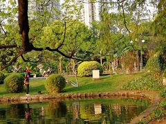 -晓港公园