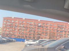 -上海植物园·停车场