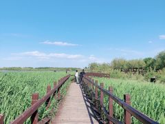 -西青郊野公园