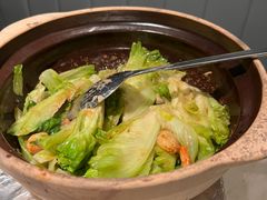 啫啫生菜煲-陶陶居酒家(美院店)