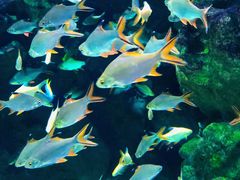 -成都浩海立方海洋公园