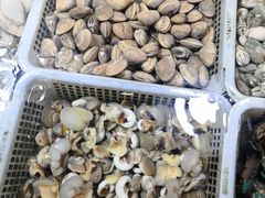 -王四营海鲜市场