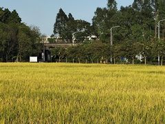-低涌(地铁站)