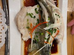 清蒸鲈鱼-霄汉牛三鲜湖北砂锅菜(万松园2店)