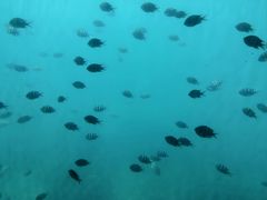 -亚龙湾海底世界