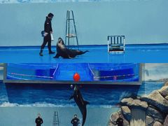 -福州罗源湾海洋世界旅游区