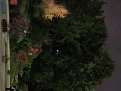 -乌山风景区