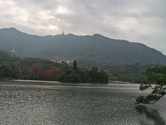 -深圳仙湖植物园