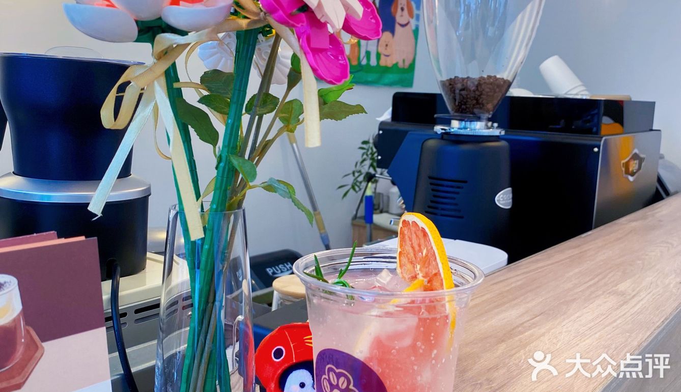 🐾 Paw coffee 柯基在线营业