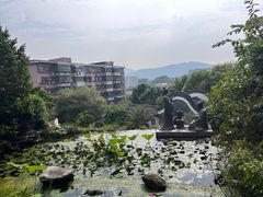 -广州神农草堂中医药博物馆