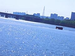 -长白岛森林公园