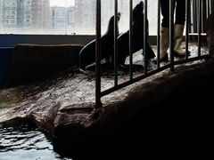 -成都浩海立方海洋公园