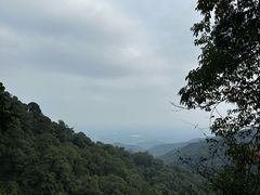 -青城山