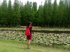 -艾溪湖湿地公园