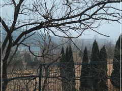 -棒棰岛宾馆景区