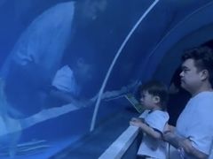 -泉城欧乐堡海洋极地世界