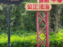-中山公园