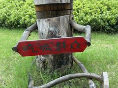 -日照海滨国家森林公园