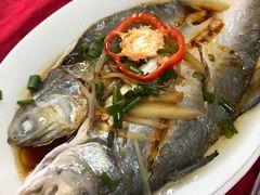 -蛇口康乐快餐鱼仔档(翠苑小区店)