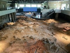 -自贡恐龙博物馆