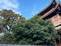 -龙华寺