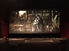 -新影联·华谊兄弟影院(望京店)