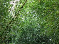 -木兰水镇旅游景区