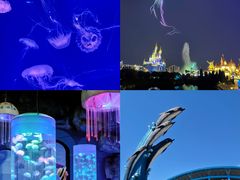 -泉城欧乐堡海洋极地世界