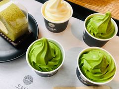 -雪绿茶博物馆