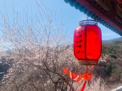 -妙峰山风景名胜区