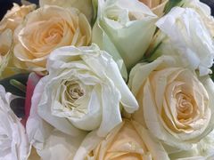 -秦淮大酒楼(万茂店)