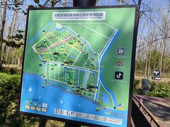 -合肥滨湖国家森林公园