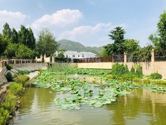 -静之湖湖畔餐厅