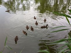 -朝阳公园游乐园