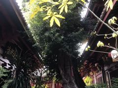 -叩齿古寺