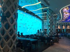 -瑞德姆美人鱼海底演艺主题餐厅(亚龙湾店)