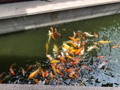 -檀园