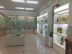 -北京中医药大学-中医药博物馆