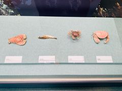 -上海中国航海博物馆