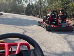 -上海海湾国家森林公园