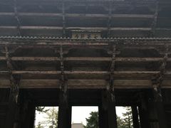 -奈良公园