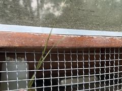 -四季轩中餐厅(徐州开元名都大酒店)