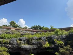 -新加坡飞禽公园