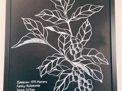 -星巴克臻选(北京前门大街店)