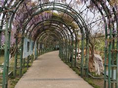 -杭州湾海上花田景区