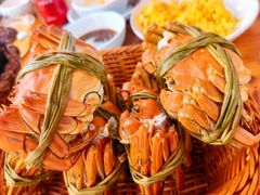 -蟹天蟹地农家菜·阳澄湖大闸蟹(浅水湾店)