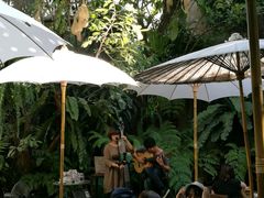 -Fern Forest Cafe